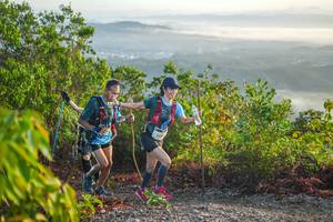 BIB: 201
                            <button type="button" onclick="openModal(21875267)" class="btn btn-primary btn-sm float-right btn-popup" data-toggle="modal" data-target=".modal-high-quality">
                        <i class="fas fa-shopping-cart"></i> Add to Cart
                    </button>
                                            <button type="button" onclick="isThisMe(21875267, true)" class="btn btn-success btn-sm float-right btn-popup btn-isme hidden" data-toggle="tooltip" data-placement="bottom" title="นี่คือรูปของคุณใช่ไหม คลิกที่นี่เพื่อเอาเข้าอัลบั้ม">
                        <i class="fas fa-plus"></i> Add to album
                    </button>
                    <button type="button" onclick="isThisMe(21875267, false)" class="btn btn-warning btn-sm float-right btn-popup btn-isnotme hidden">
                        <i class="fas fa-ban"></i> Remove from album
                    </button>